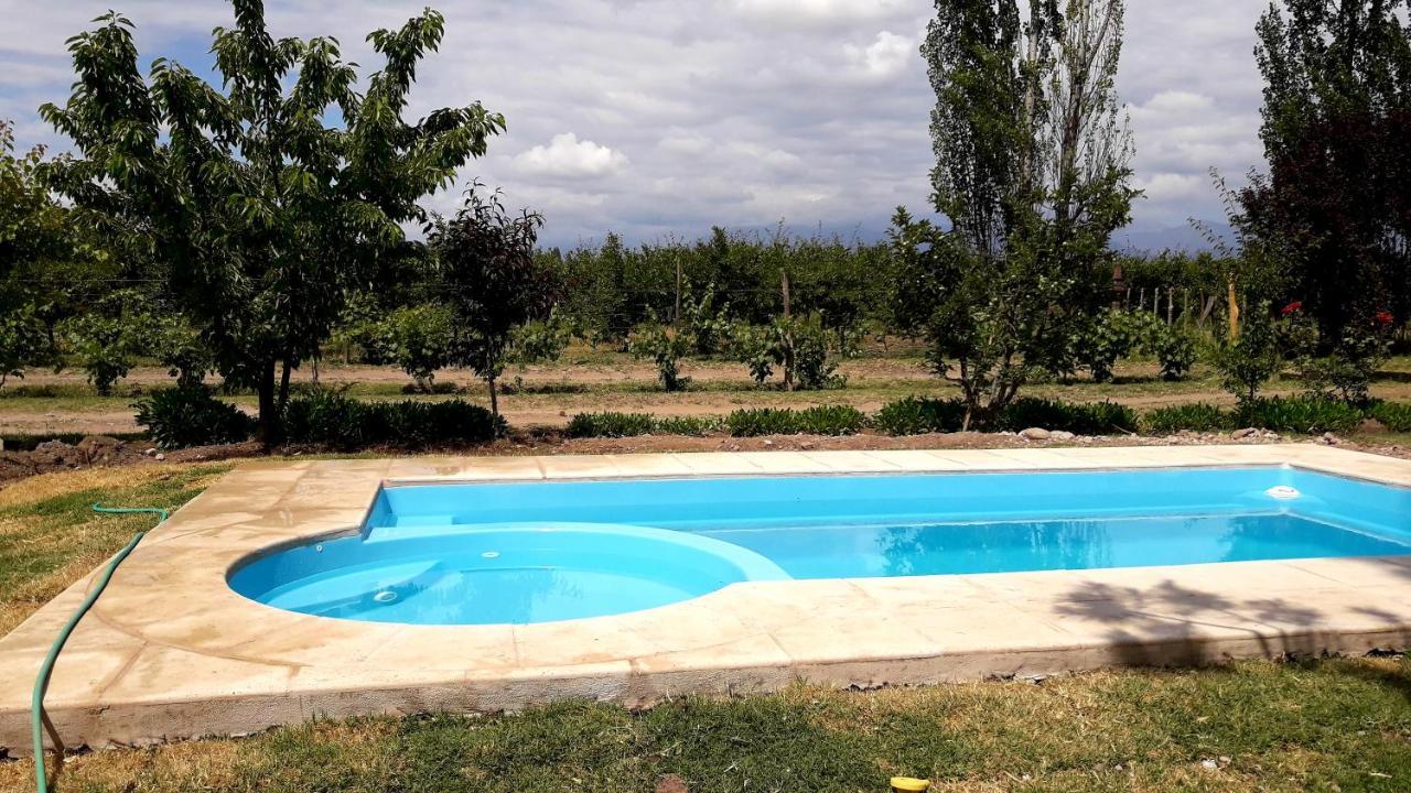 Casa Rural Entre Bodegas Y Vinedos ' El Jarillal" Ла-Консульта Экстерьер фото