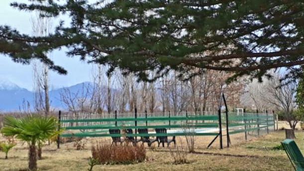 Casa Rural Entre Bodegas Y Vinedos ' El Jarillal" Ла-Консульта Экстерьер фото