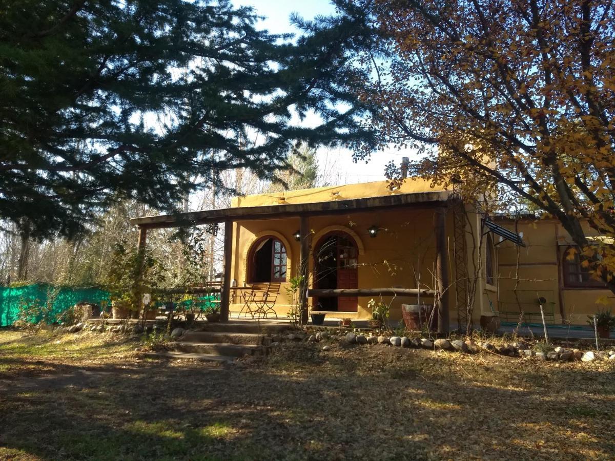 Casa Rural Entre Bodegas Y Vinedos ' El Jarillal" Ла-Консульта Экстерьер фото
