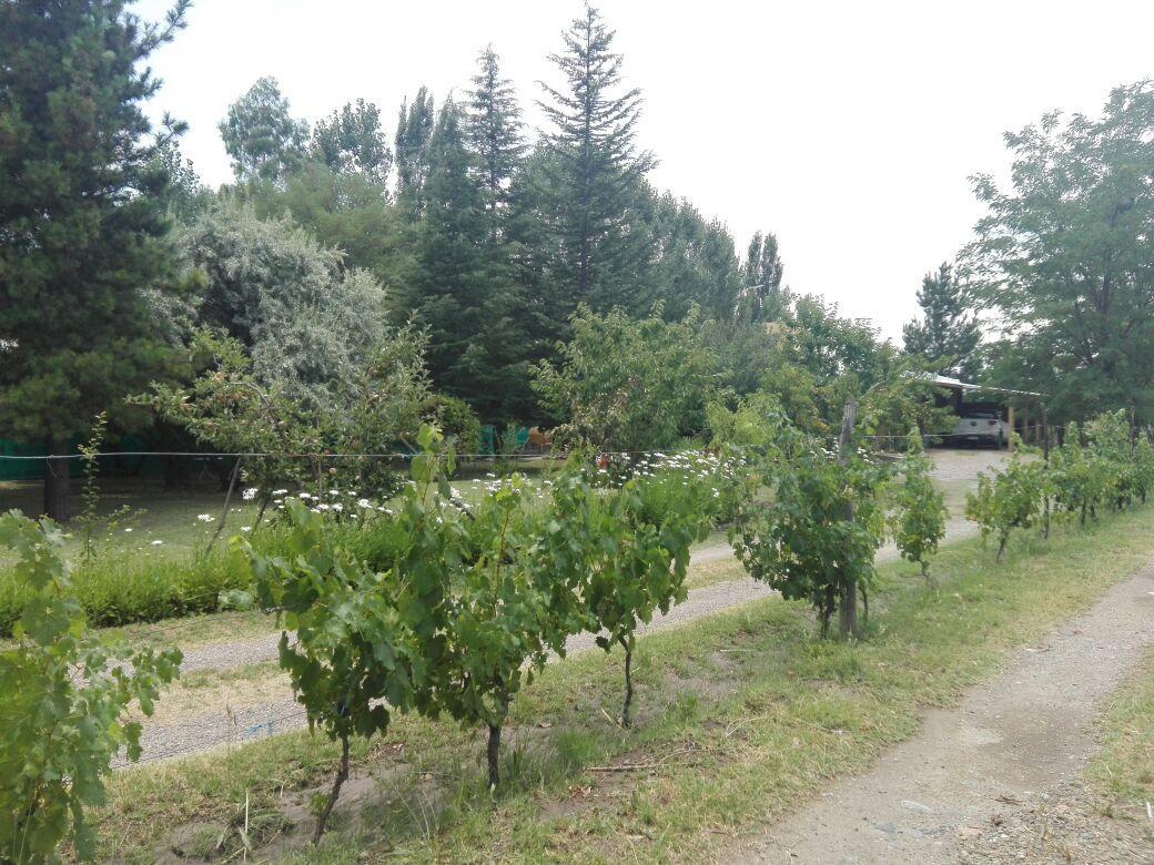 Casa Rural Entre Bodegas Y Vinedos ' El Jarillal" Ла-Консульта Экстерьер фото